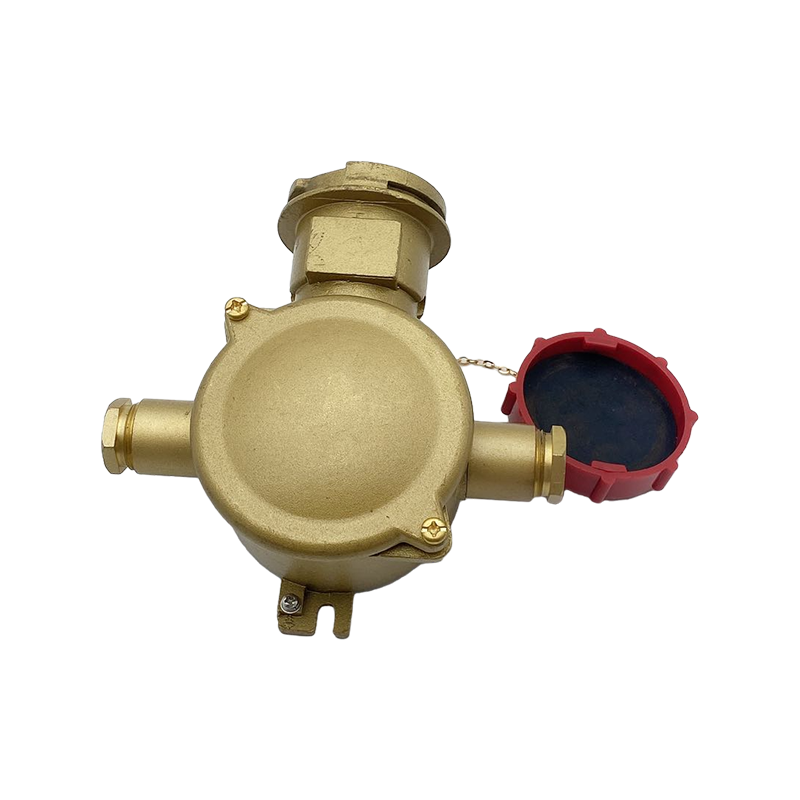 Aes Electrical Pentium Cum Interlock SWITCH-CZS3-2 1I4