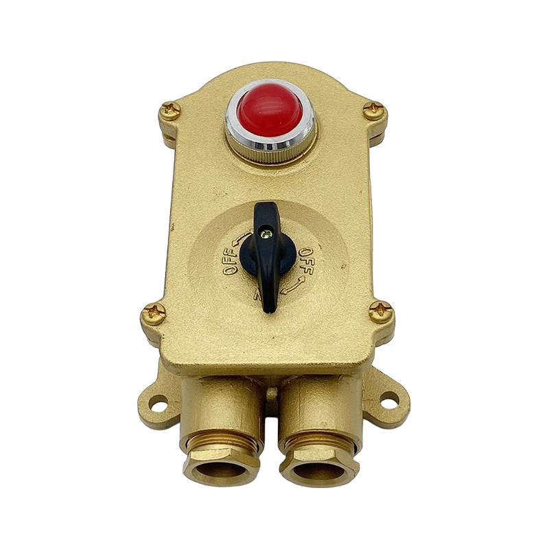 Marine Copper Pentium Plug Cum Interlock SWITCH-HSD2-2