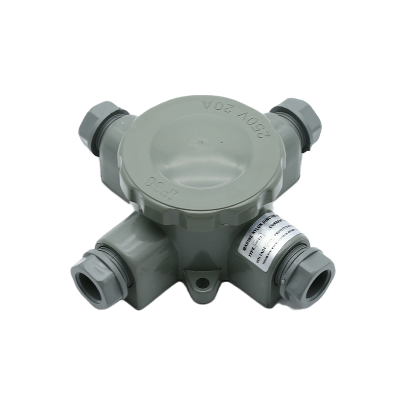 Plug Watertight Pentium Cum Interlock SWITCH-JXF4-1