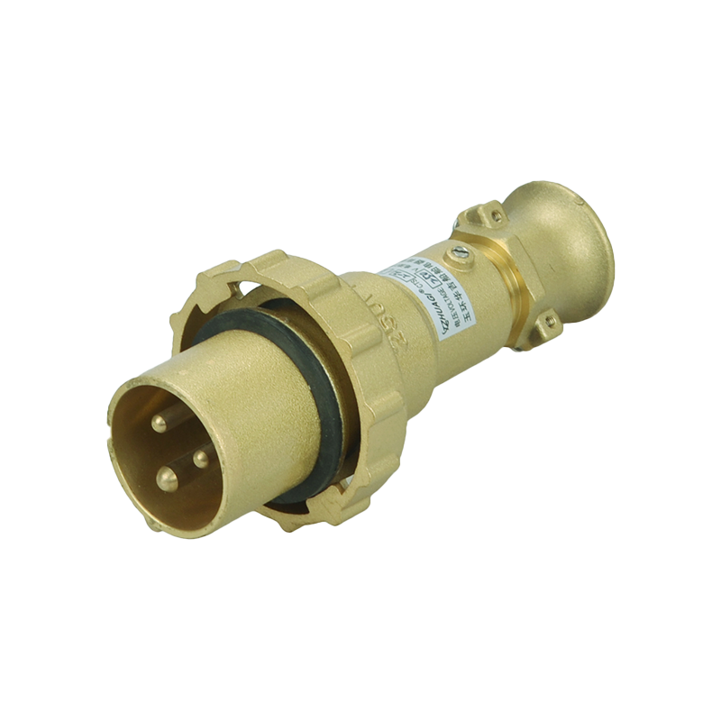 Warine 32a ære obturaculum nervum cum switch CTS2-2-14