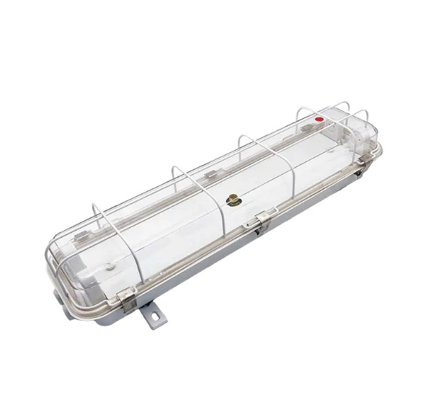 Quae sunt genera lucis fontium in lucernis?